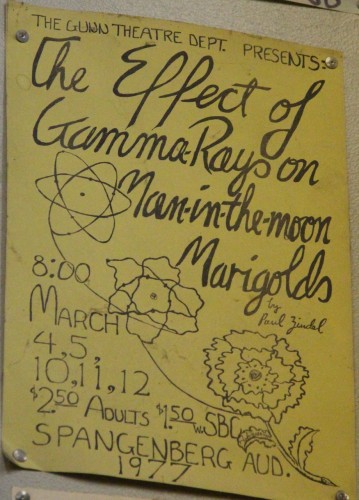 Poster of The Effect of Gamma Rays on Man in the moon Marigolds 1977